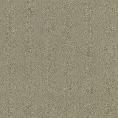 Ковролин Brintons Majestic Willow m 324 фото 1 | FLOORDEALER